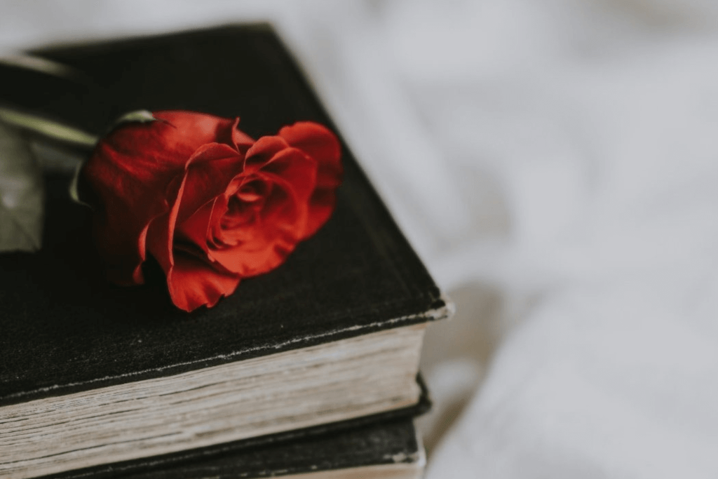 dating-book-e1644139101278